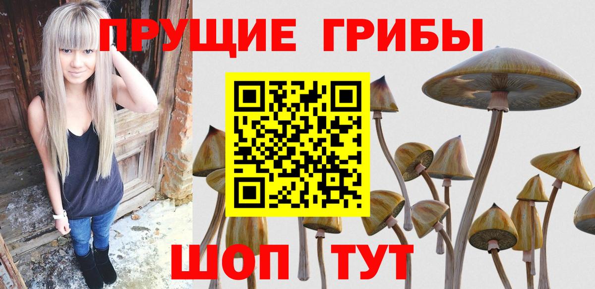 Норильск  Псилоцибиновые грибы прущие грибы  Вход с VPN 